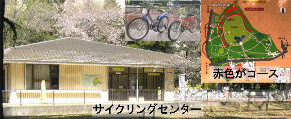 代々木公園非公式案内 開園時間 記念碑 ドッグラン サイクリングセンター 売店など