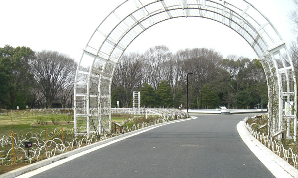 代々木公園非公式案内 開園時間 記念碑 ドッグラン サイクリングセンター 売店など